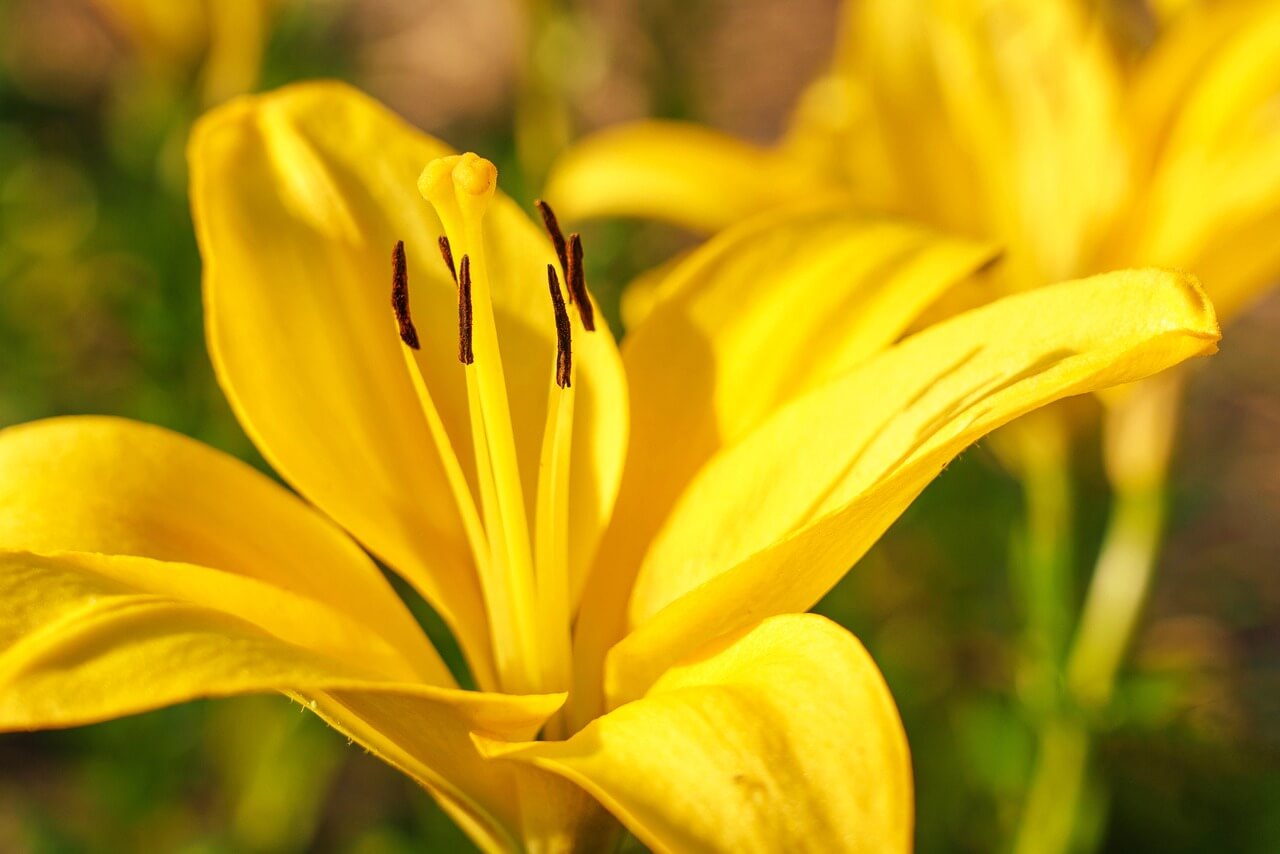 부산 동래구 사전투표소 위치 찾기 