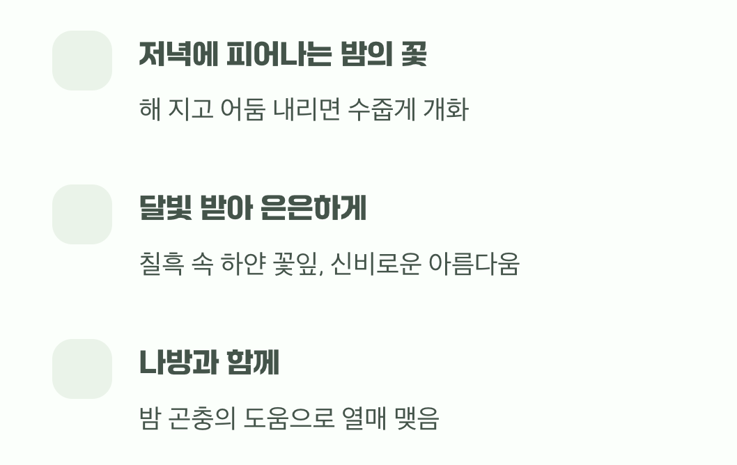 달빛 아래 피어나는 순백의 요정