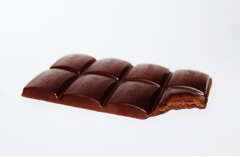 강아지 금지 음식 초콜릿 관련 이미지