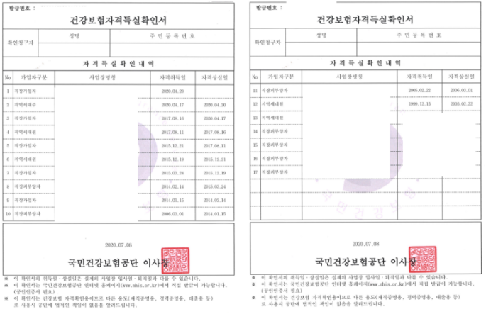 건강보험 자격득실확인서, 자격확인서 발급 결과 예시