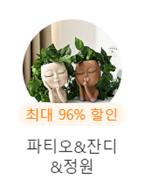 temu 쇼핑몰