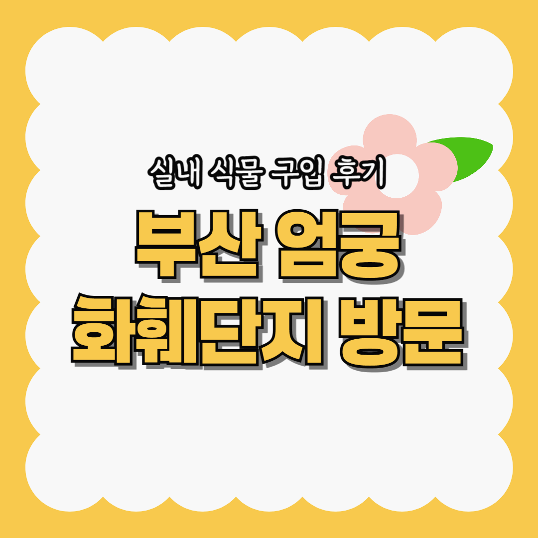 부산엄궁화훼단지방문후기