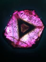 Liddicoatite