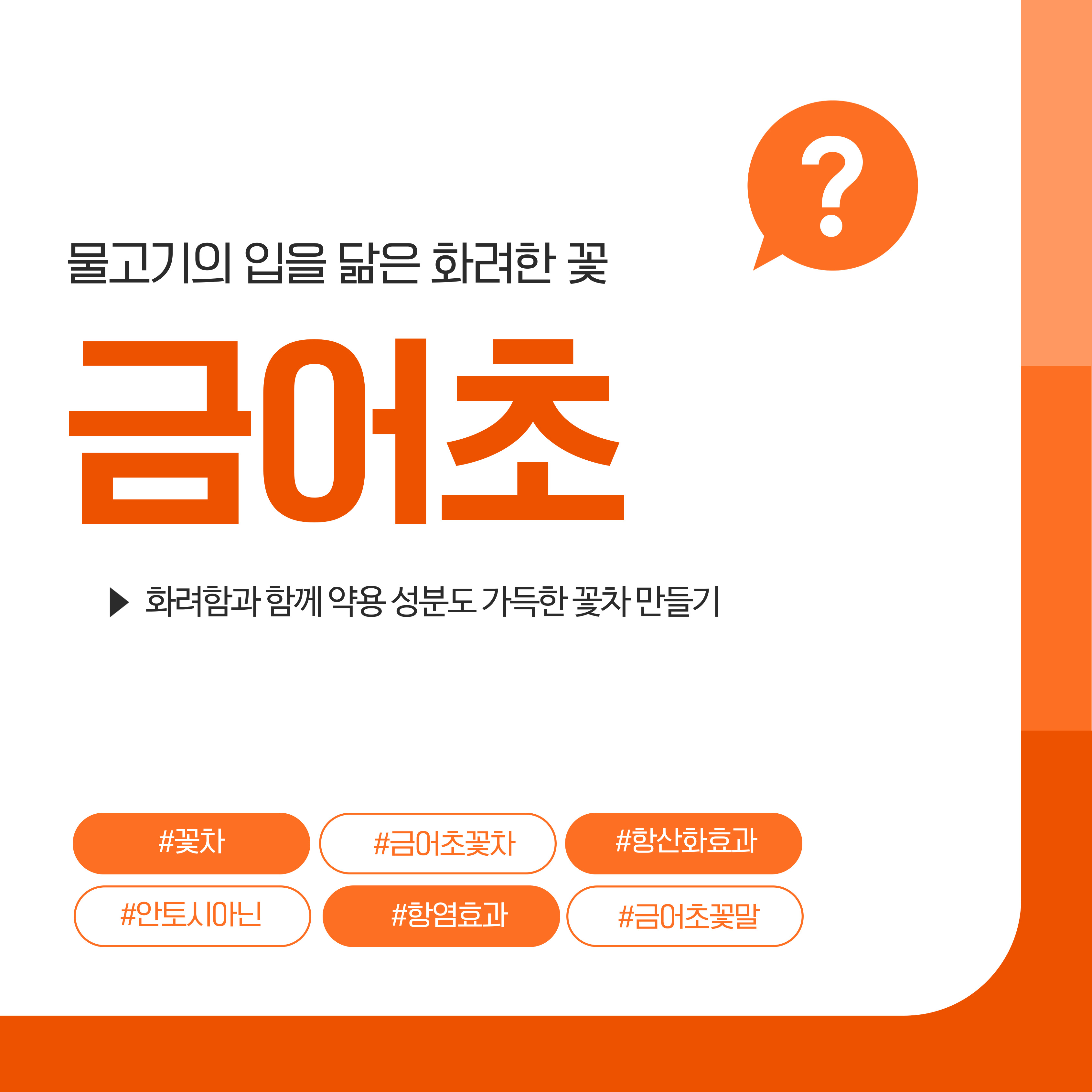 금어초, 금어초꽃차