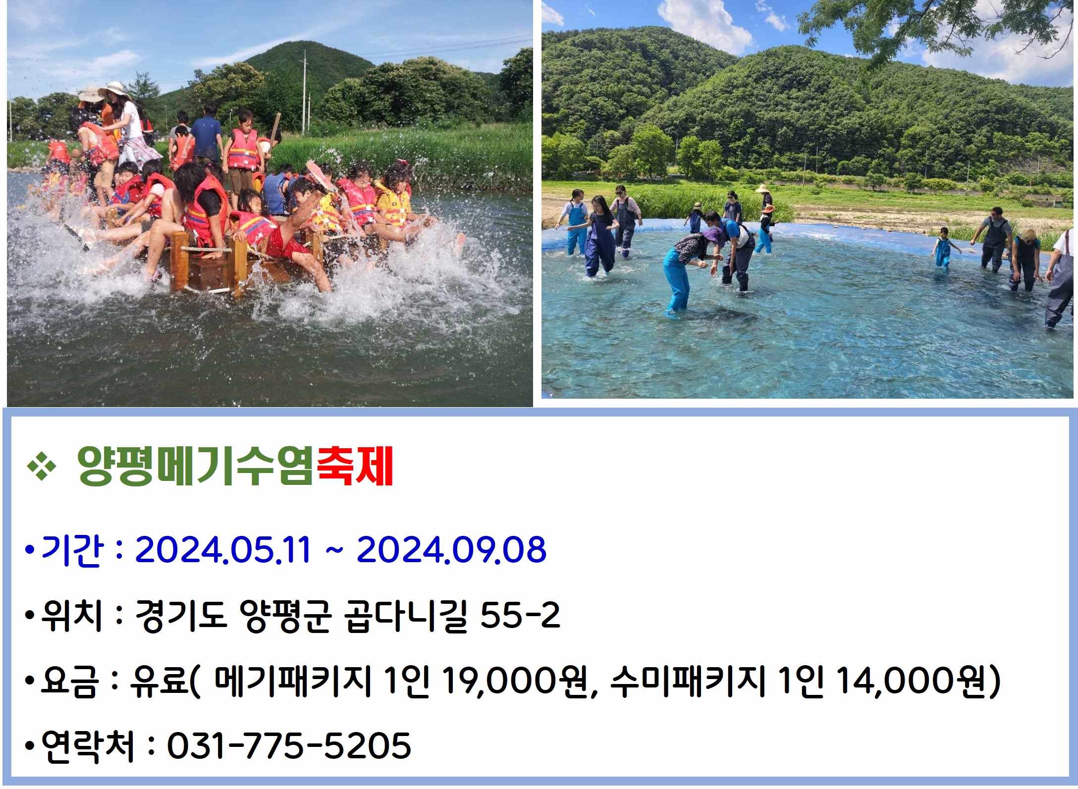 양평메기수염축제