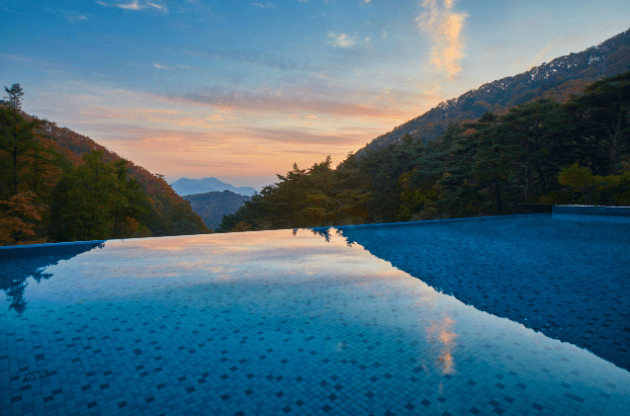 리솜포레스트-수영장