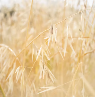 에코프로 배당금 지급일 기준일 입금일 목표주가