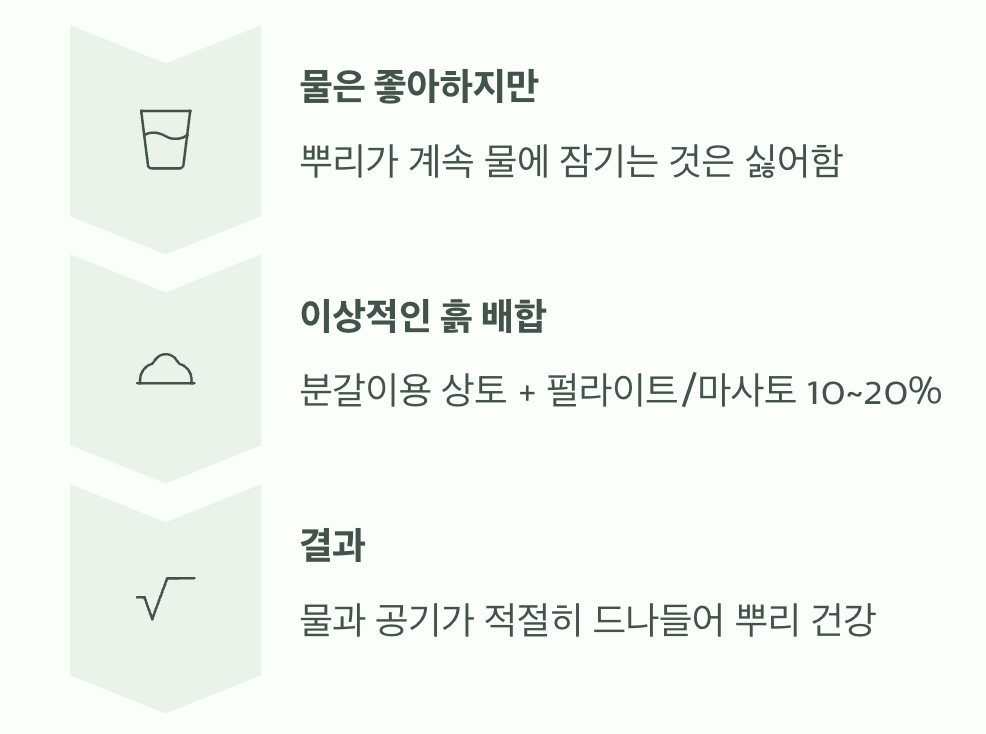 뿌리가 숨 쉬는 '배수 잘되는 흙'의 비밀