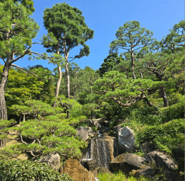 가을천 단풍여행 화담숲 화담채 모노레일 입장권 예약 방법 안내
