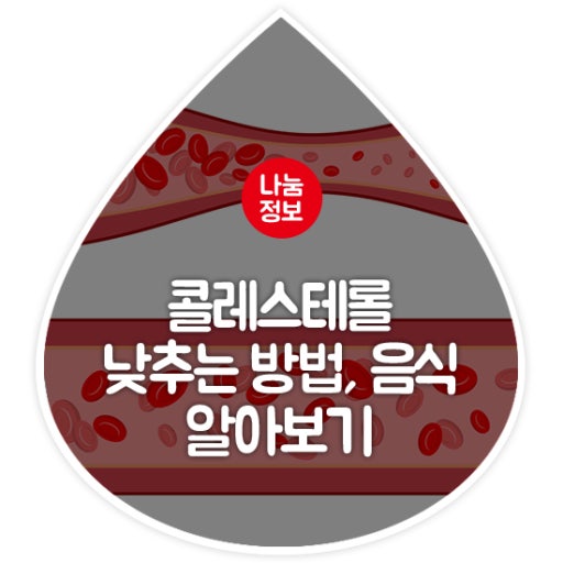 콜레스테롤 관리 방법 알아보기
