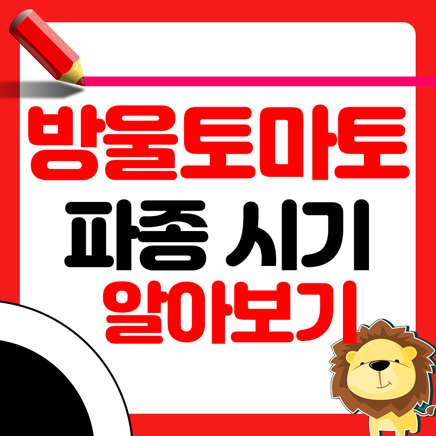 방울토마토 파종 시기와 키우는 방법 알아보기 1