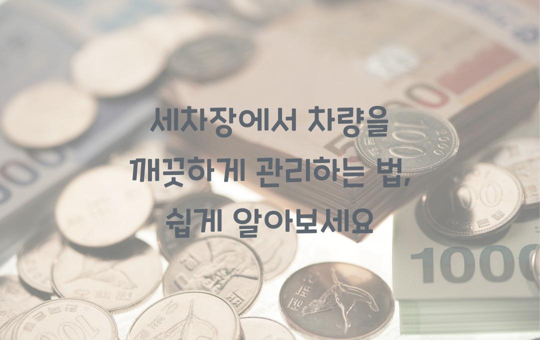세차장에서 차량을 깨끗하게 관리하는 법