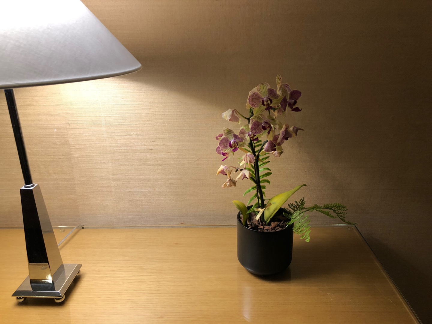 웨스틴조선-호접란