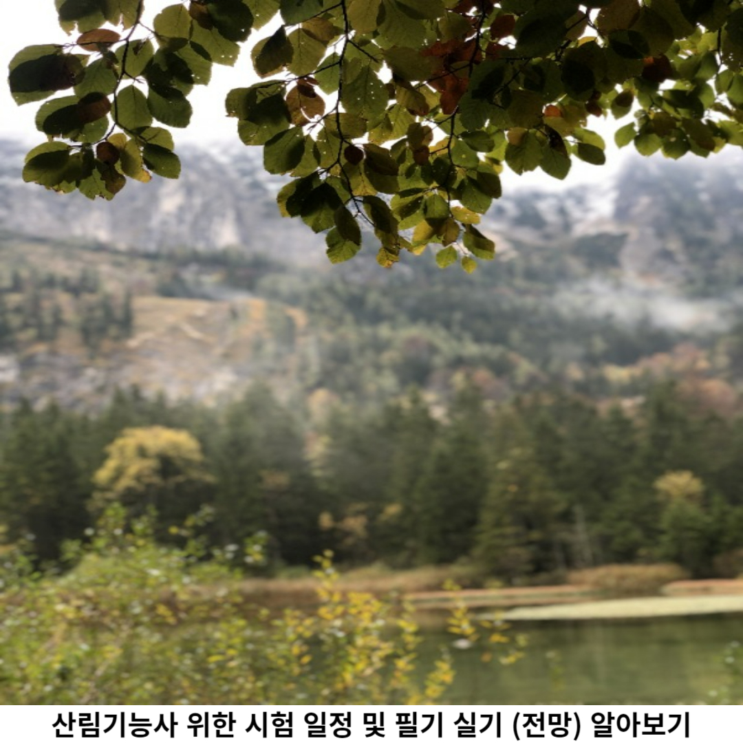 산림기능사 시험일정