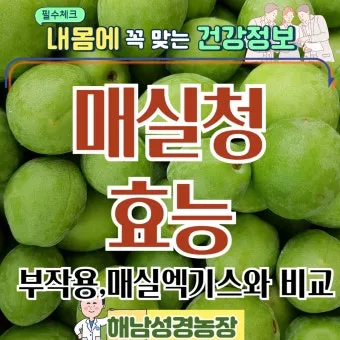 매실청 담그는법 황금비율과 숙성관리 노하우 정리_15