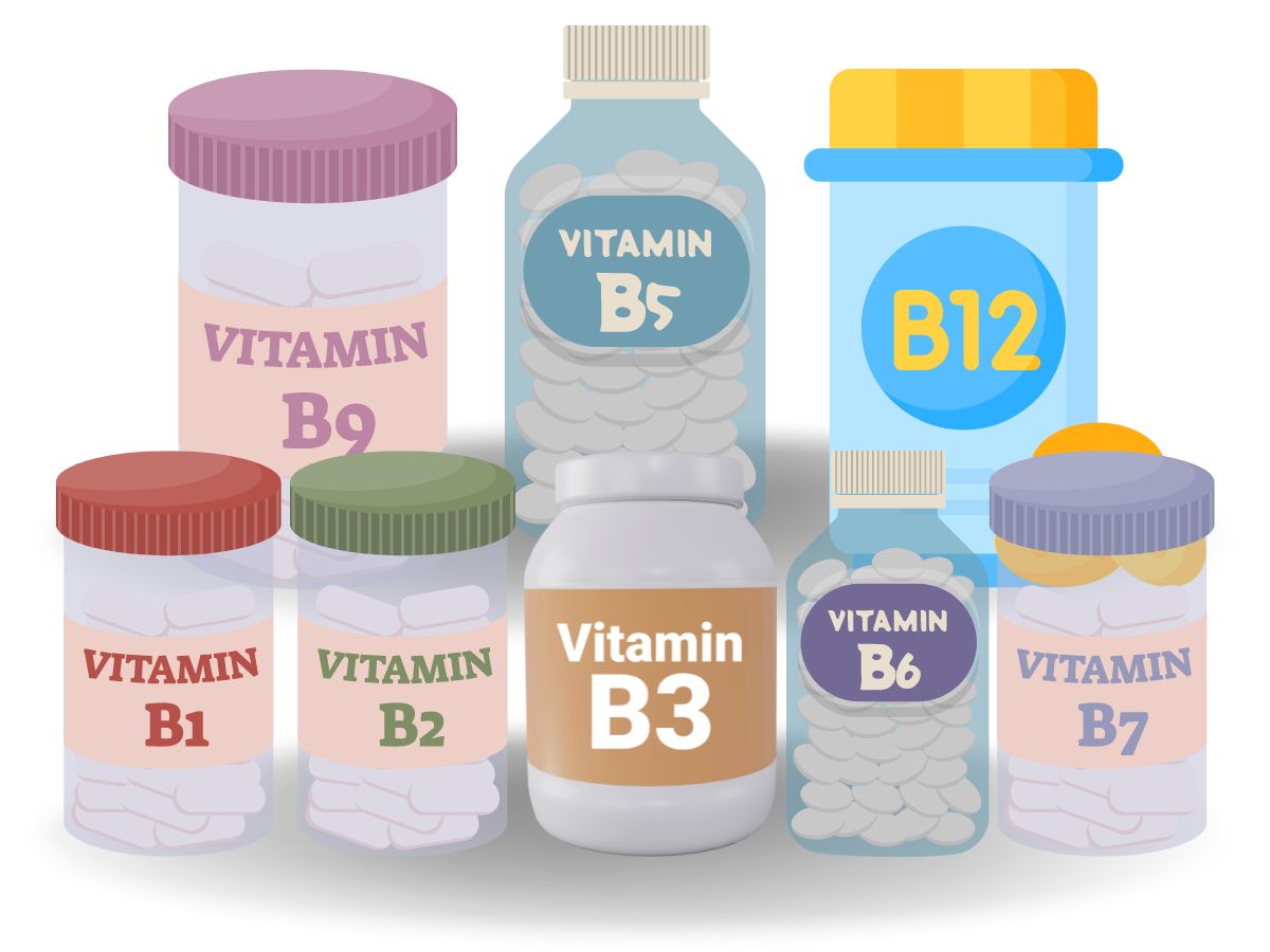 비타민 B군 효능