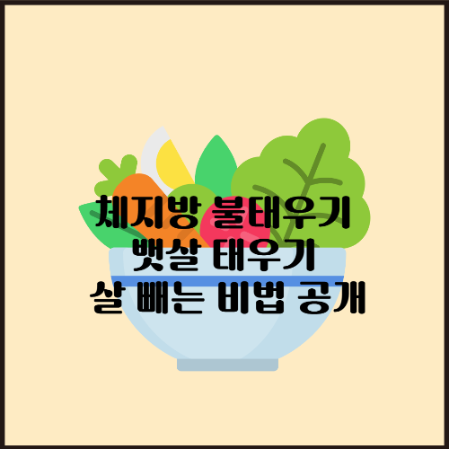 체지방 불태우기 뱃살 태우기 살 빼는 비법 공개
