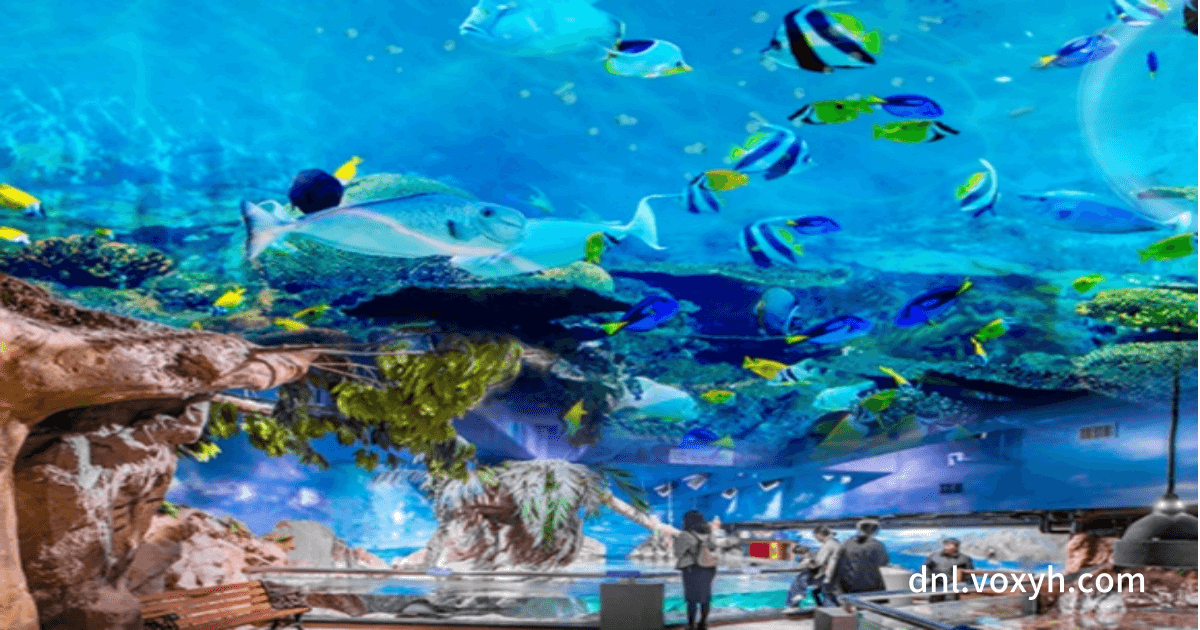 코엑스 아쿠아리움 내부