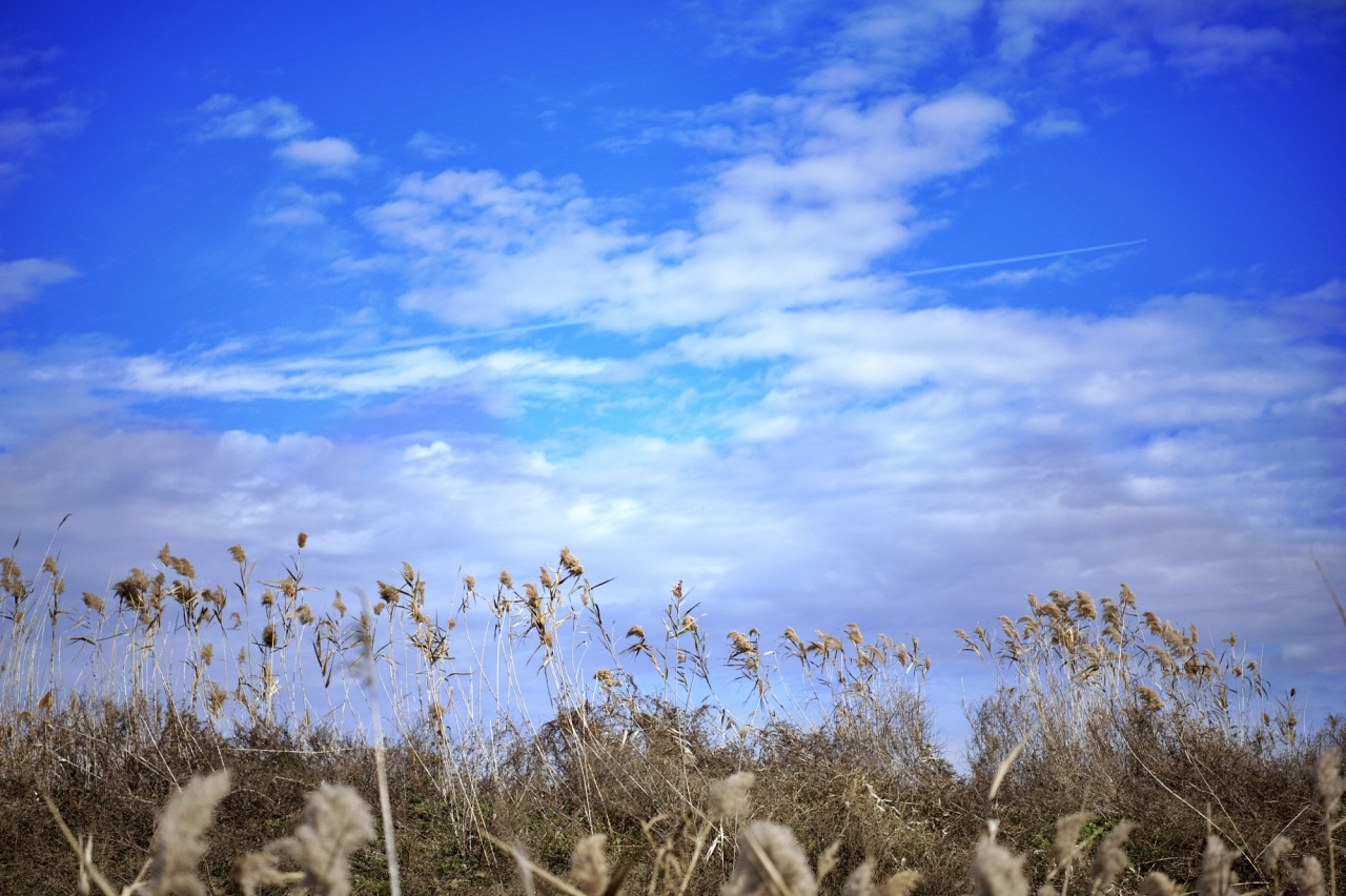 성경의 장별요약