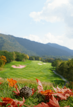 2025 KLPGA 맥콜 · 모나 용평 오픈 총정리|무료 티켓·주차장·조편성·관전포인트까지