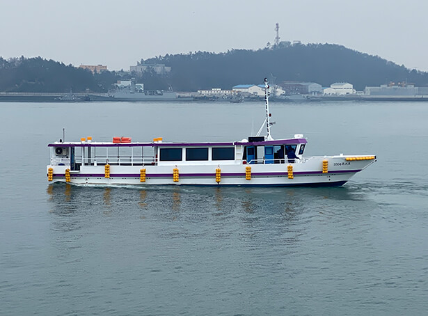 특수선