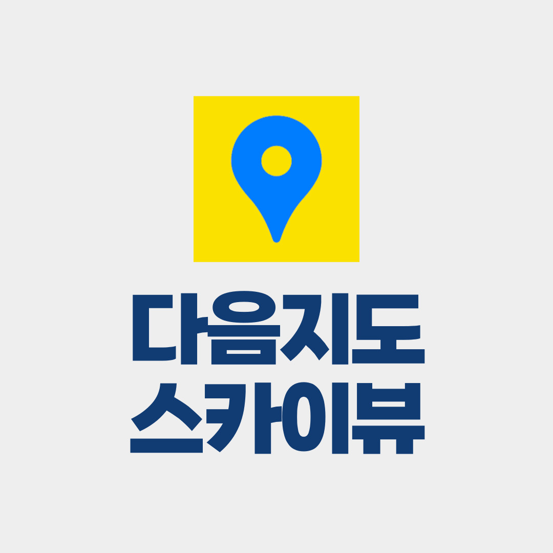 다음지도 스카이뷰