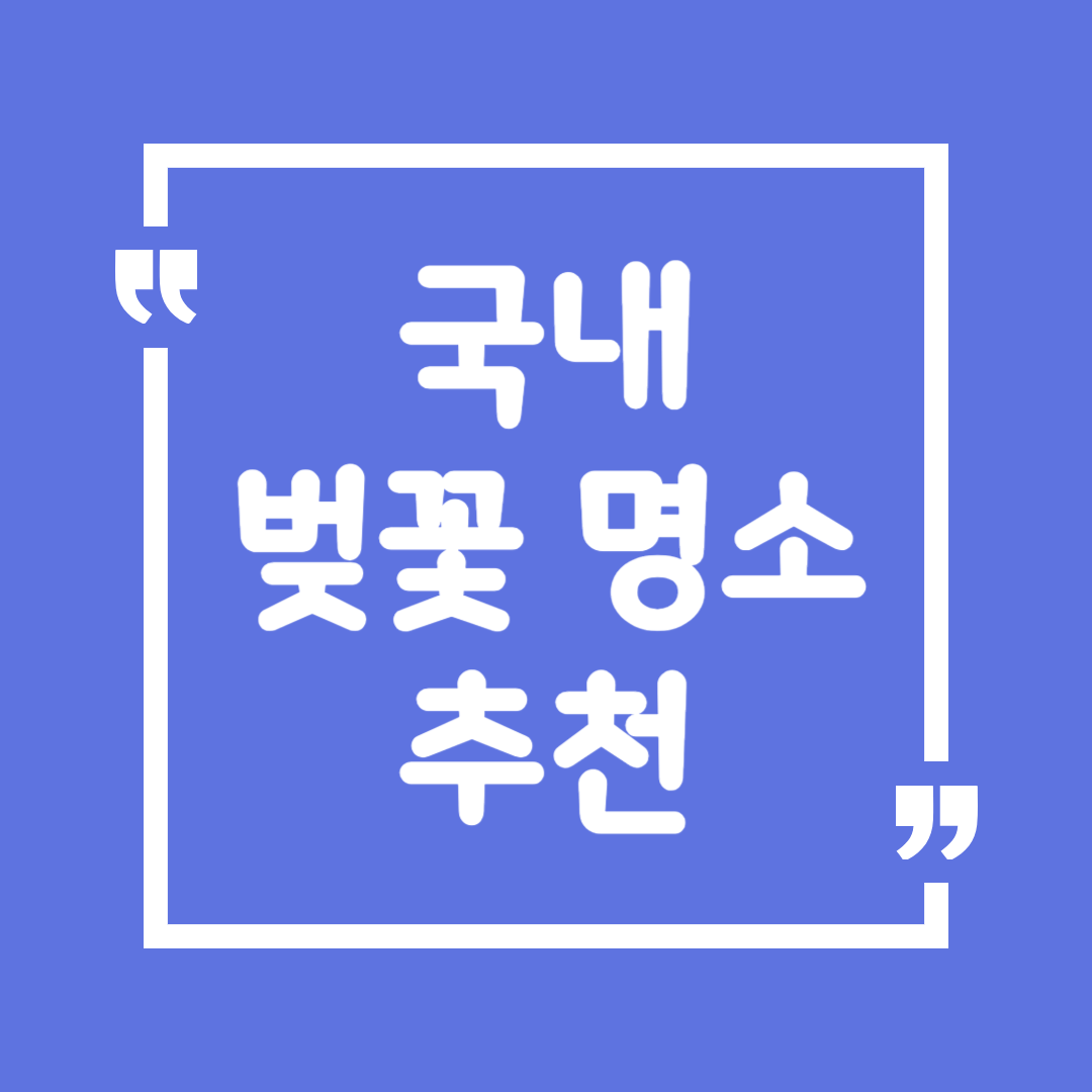 국내 벚꽃 명소 추천