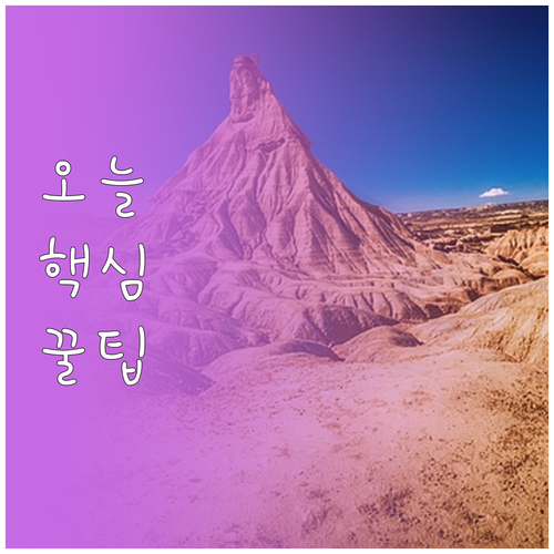 신발장 습기 곰팡이 탈출! 냄새 제거..