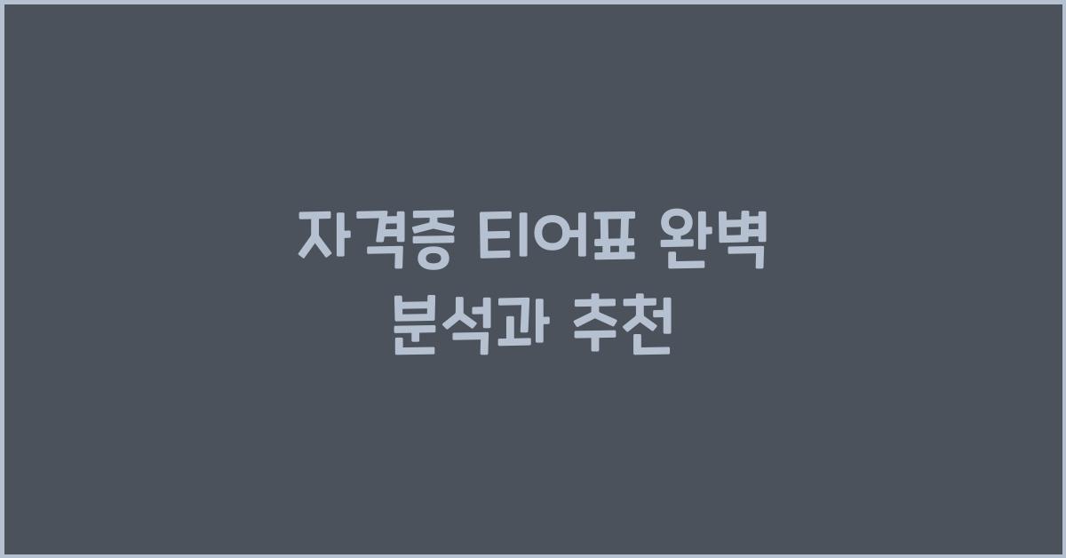 자격증 티어표