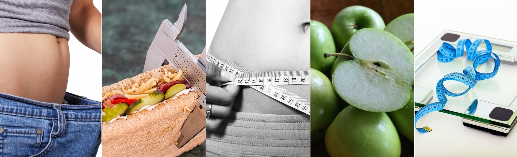 다이어트 관련 이미지
