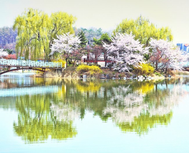 이천 봄 풍경 사진
