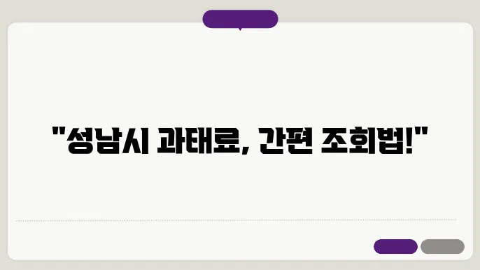 성남시 주정차 위반 과태료 조회 및 납부방법
