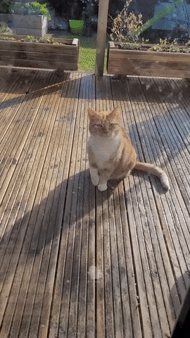 10월 13일 금 경제뉴스 부동산뉴스 신문스크랩