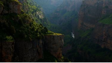 산불 재난지원금 신청하기