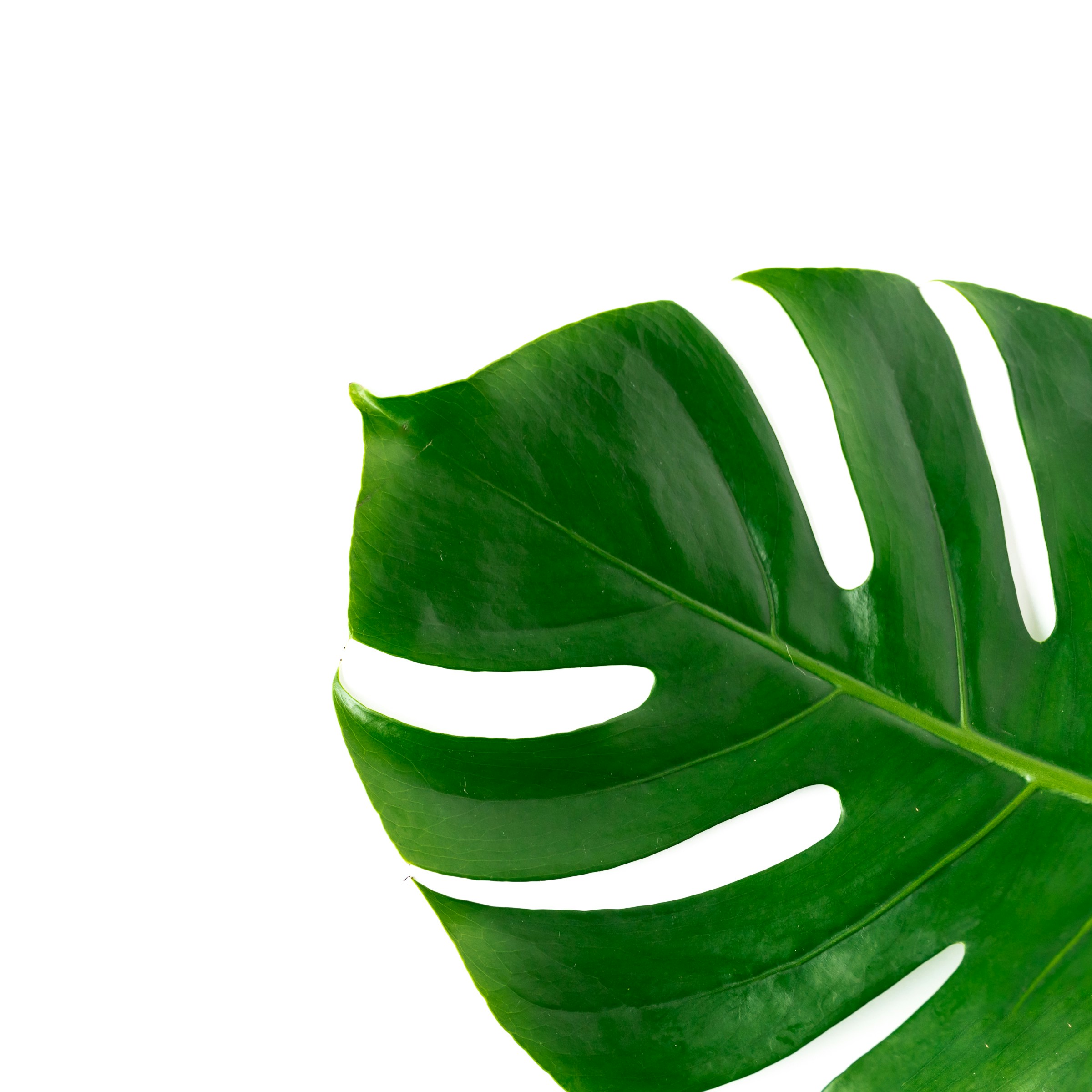 etc-image-7