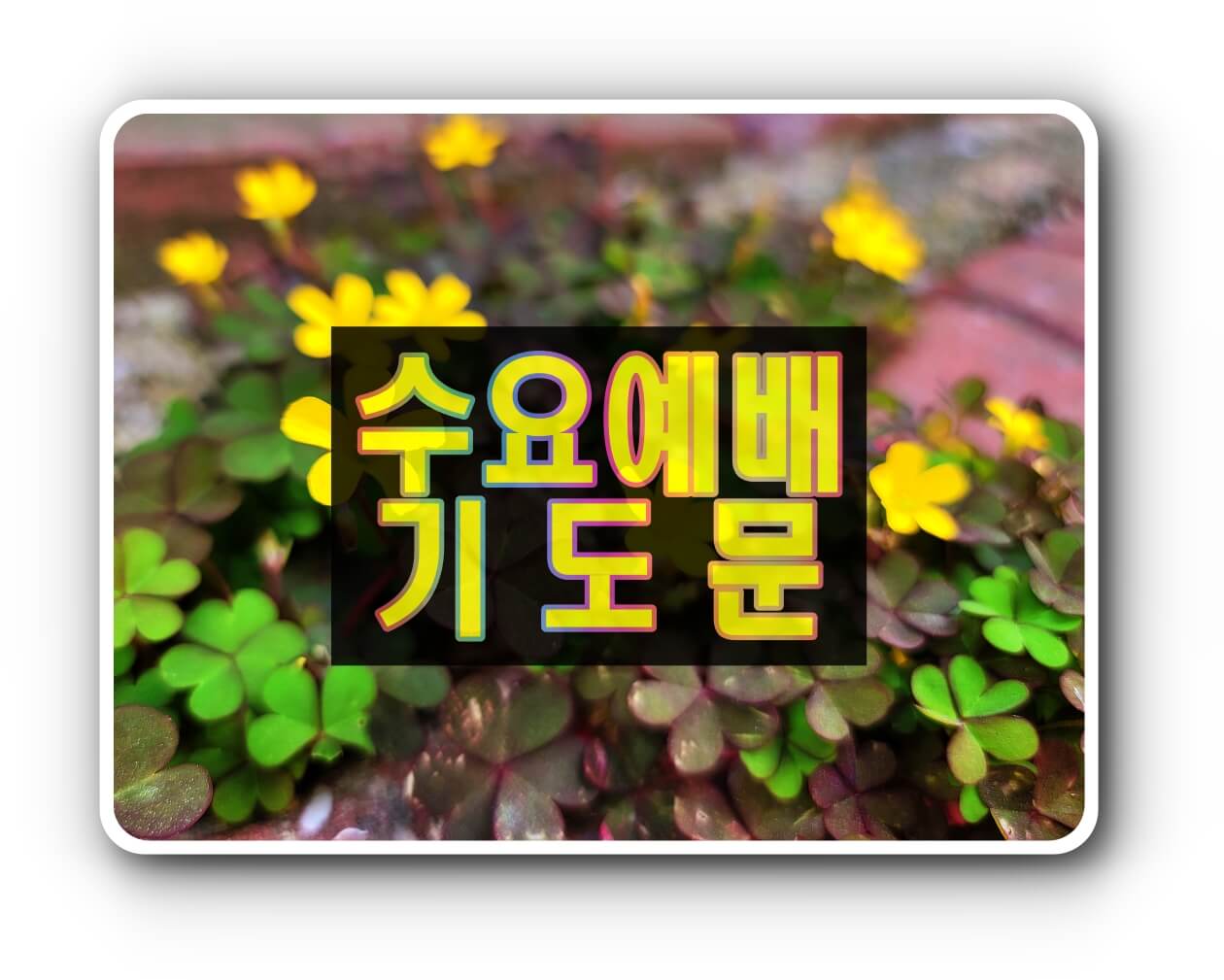 수요예배 대표기도문