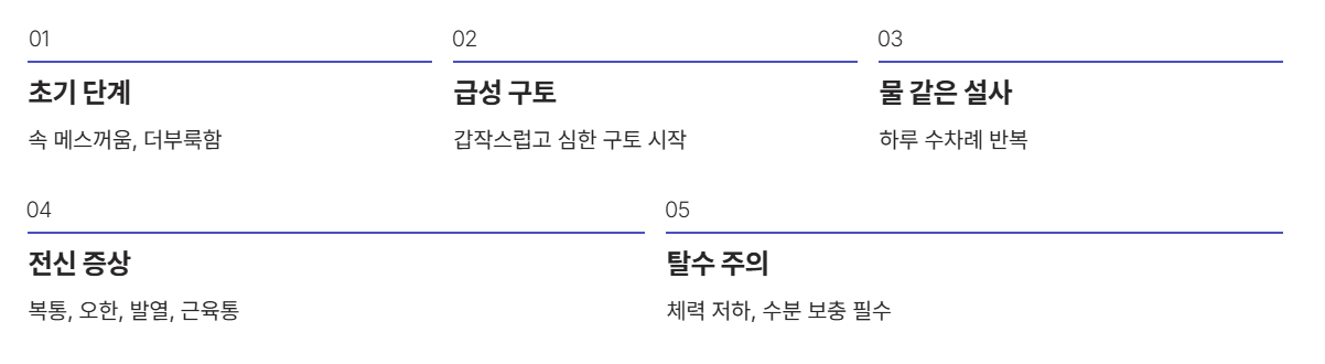 노로바이러스 진행과정
