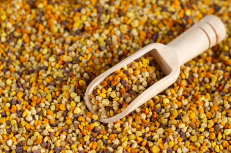 프로폴리스 효능, 부작용, 복용법 총정리 (2024ver)