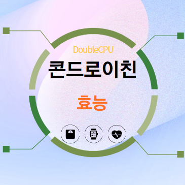 콘드로이친 효능 탐구
