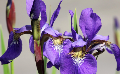 화담숲-예약하기