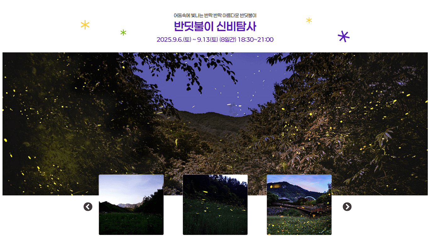 반딧불이 신비탐사