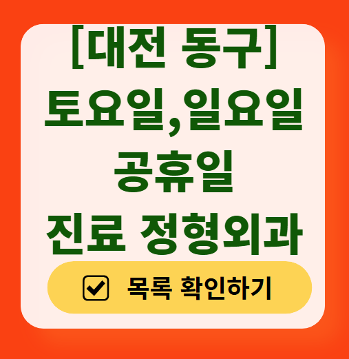 대전 동구 일요일 공휴일 문 여는 정형외과 찾기 ❘ 토요일, 주말, 진료 영업 병원 목록