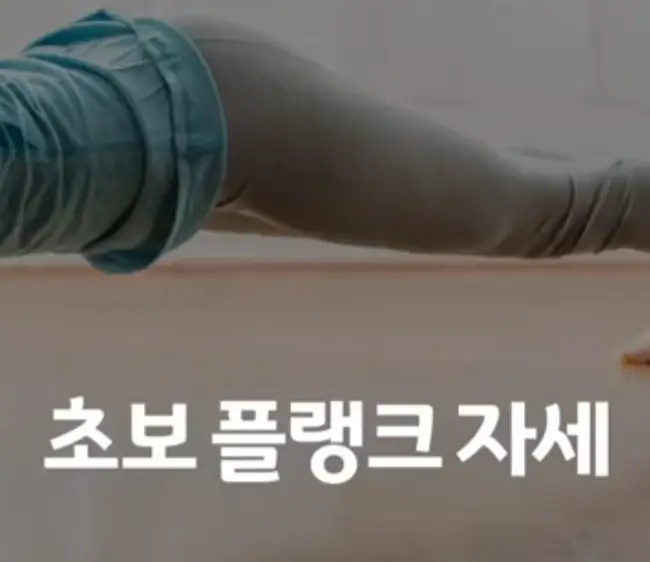 플랭크바른자세