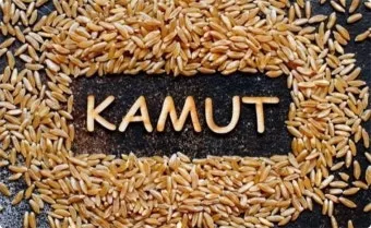 카무트 효소 부작용 효능 먹는법_16