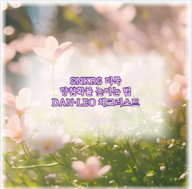 SNKRS 미국 당첨확률 높이는 법 DAN&middot;LEO 체크리스트