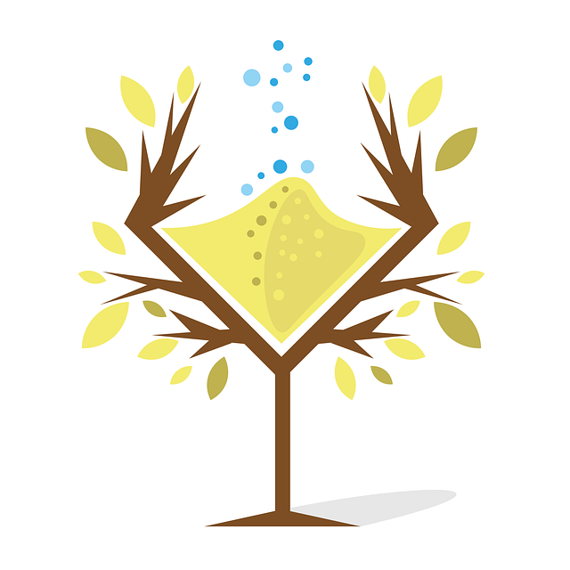 "탈산소제 없이도 식품 보존이 가능할까? 실험으로 알아보기"