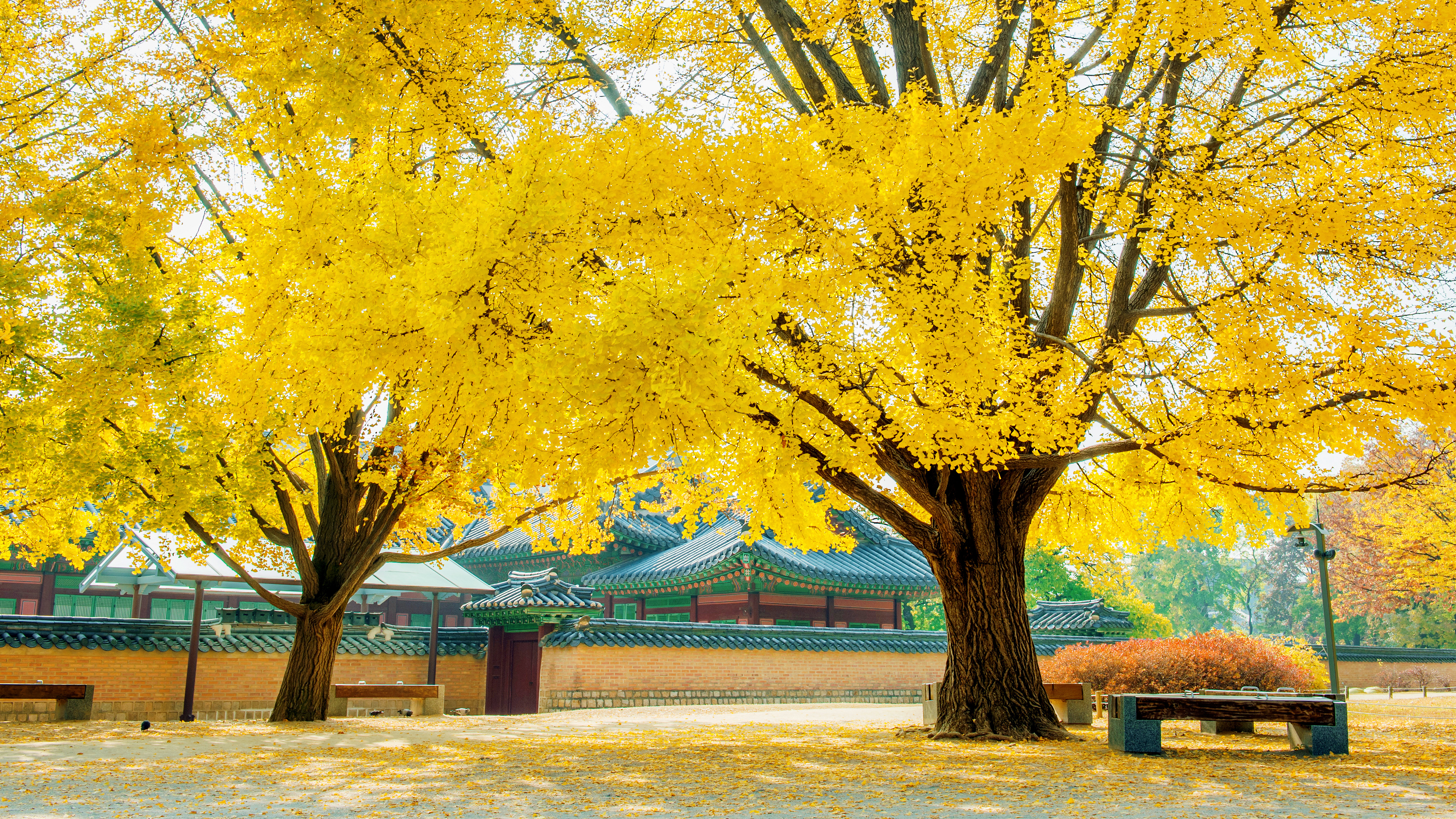 경복궁
