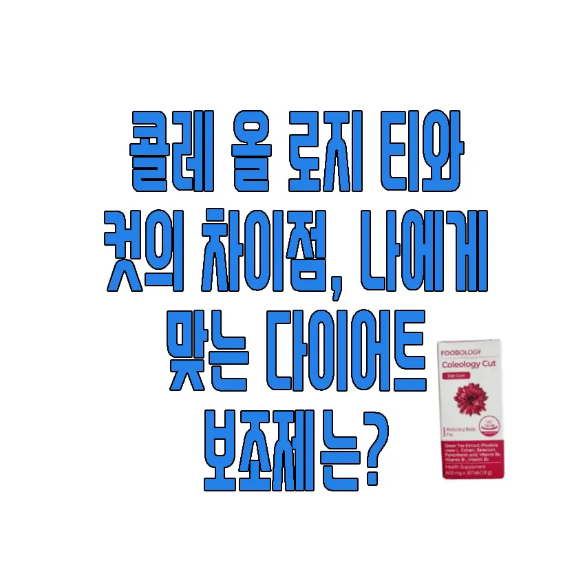 콜레 올 로지 티와 컷의 차이점에 관한 글 썸네일