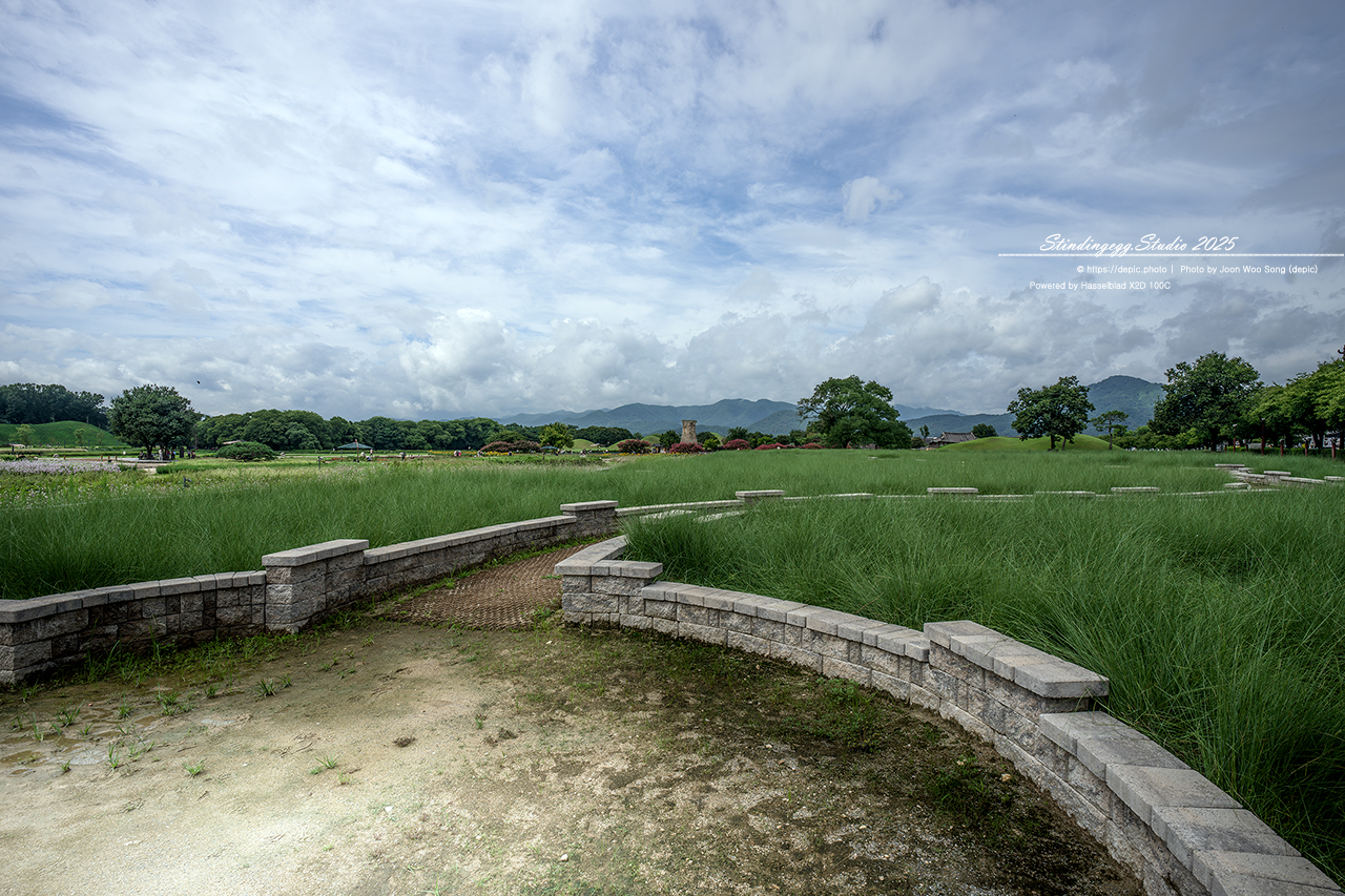 #경주 #첨성대 #반월성 #배롱꽃