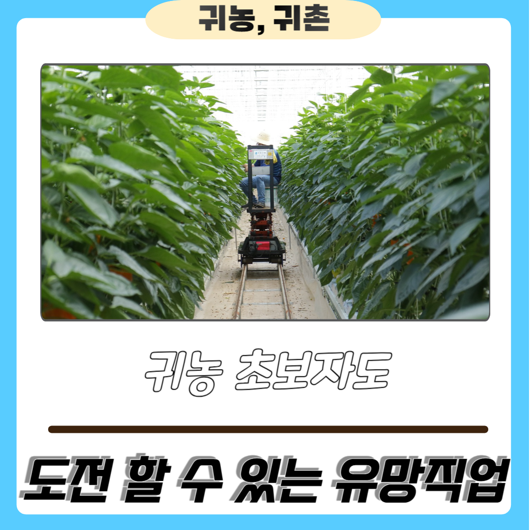 귀농 초보자도 도전할 수 있는 유망 직업